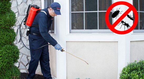 Atakent Hamam Böceği İlaçlama böcek ilaçlama ve haşere kontrolü — ilaclama-tr.com